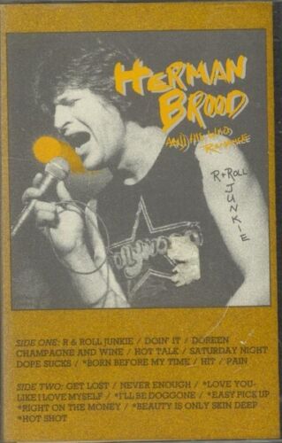 Herman Brood & His Wild Romance - R & Roll Junkie - cassette cassette - Photo 1/1