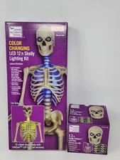 12 Ft Skeleton Skelly LED Holiday Lighting Kit & Eye Kit Home Depot Home Accents