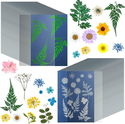 38 Sheets Cyanotype Paper A5 Sun Print Paper Kit with 2 Clear Acrylic Sheets Hig
