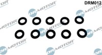 Dr.Motor Automotive DRM012 Seal Ring, Nozzle Holder
