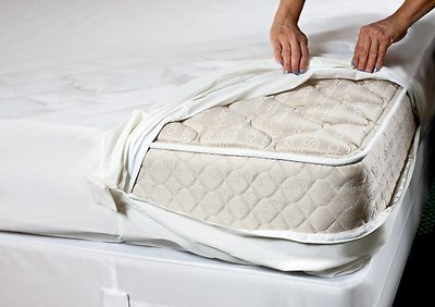 #ad TOP SELLER Bed Bug PROTECTOR Soft Lux FABRIC Allergen Zippered MATTRESS COVER $38.39