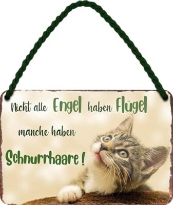 Schilderkreis24 - Blechschild mit dem Spruch 'Nicht alle Engel haben Flügel, ein