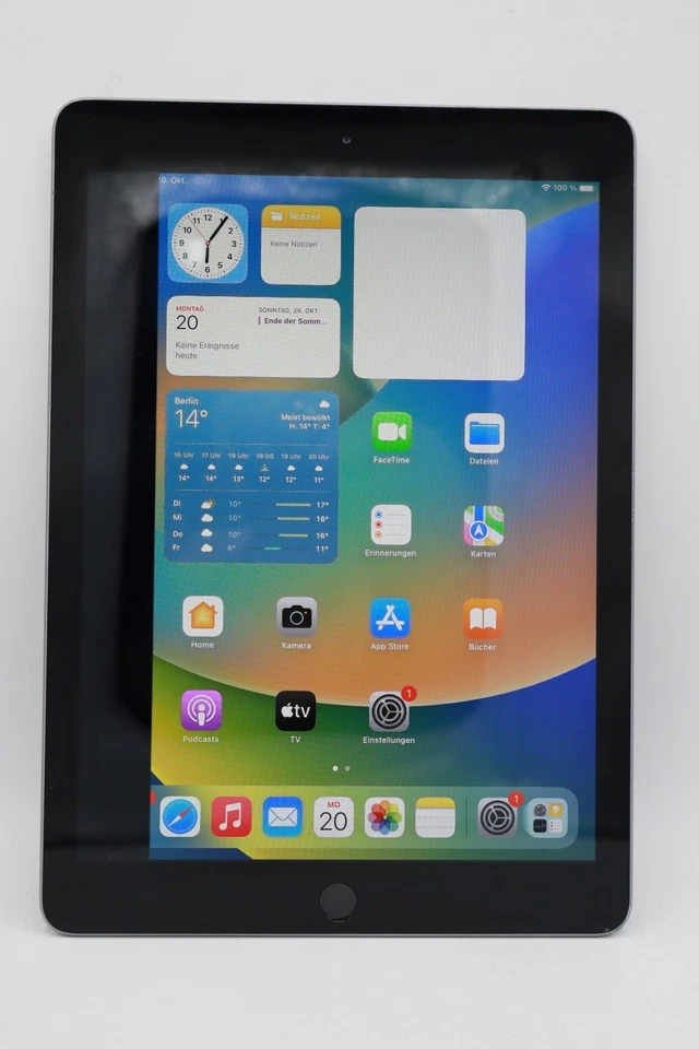 Apple iPad 6. Gen (2018) A1893 32GB 9,7" WiFi Spacegrau LCD-Schaden #5820