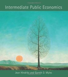 Intermediate Public Economics von Jean Hindriks | Buch | Zustand akzeptabel