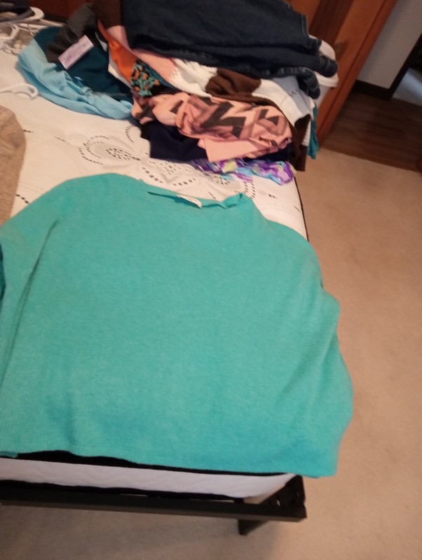 Women's Size Large Lot Of Sweaters And Shirts