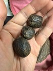Box of Rare Antique/ Vtg. Chinese Export Agarwood Beads — photo 10