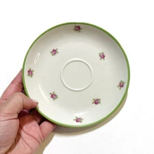 Richard Ginori Fine Porcelain Saucer Rose Print Green Trim Small Plate Tea China