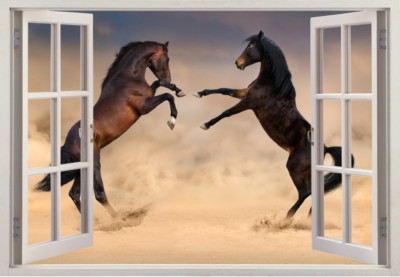 wandtattoo pferd fenster 3d sticker aufkleber pferde horse 130cm  XXL 14ar
