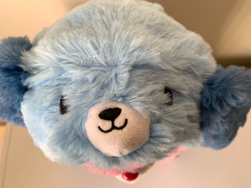 Care Bears Snuggle Pals Shine Bright Bear Dog Plush Toy - Brand New - Picture 10 of 11