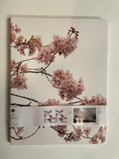 2 x 2-Pack Denik 8.5x11" Skinny Notebooks, 80 Lined Pages EA 70lb paper. Layflat