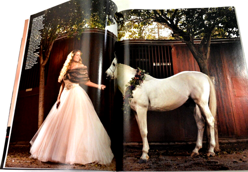 Luxury Vegas Magazine February 2015 - Picture 8 of 11