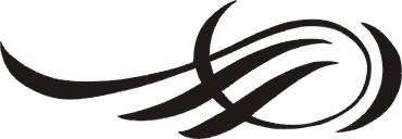 GRAPHIC SCROLL PINSTRIPING DECAL #5 - Bild 1 von 1