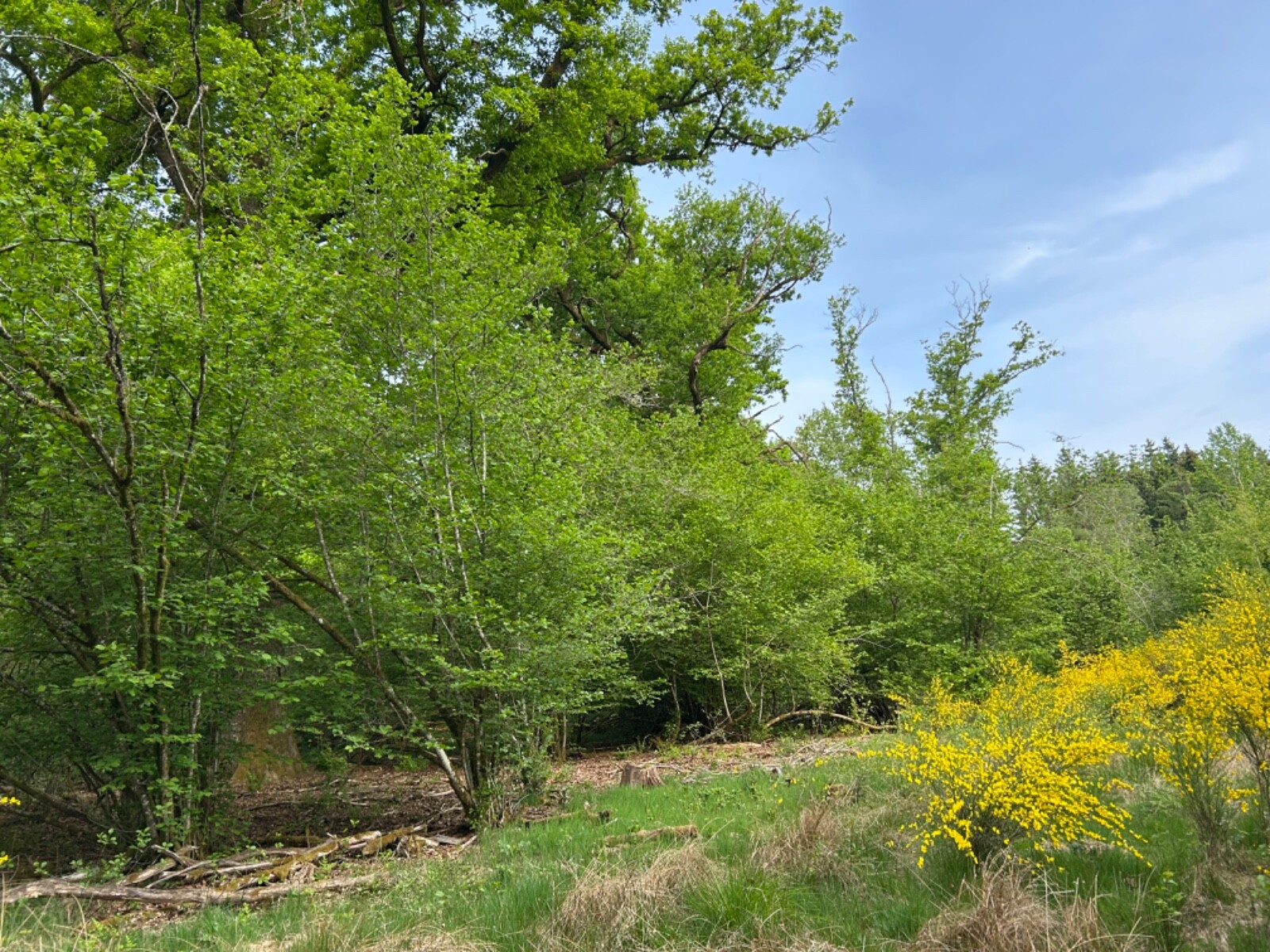 Bild 2 von 10