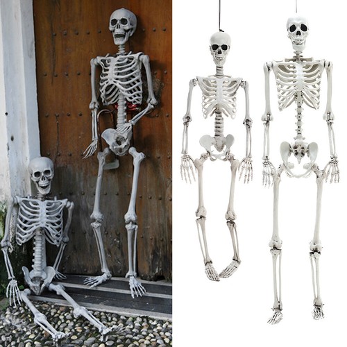 165cm Skeleton Full Size Poseable Human Joints Halloween PartyProp Haunted House - Picture 18 of 20