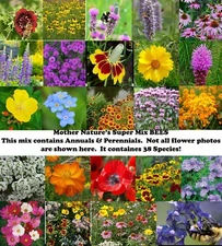 Mother Nature’s Super Mix BEES 38 Species Flowers Wildflowers Non-GMO 1000 Seeds