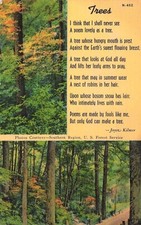 Robbinsville NC Joyce Kilmer Forest Cheoah River Asheville Poem Vtg Postcard F2