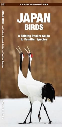 Japan Birds by James Kavanagh (Pamphlet) - Image 2