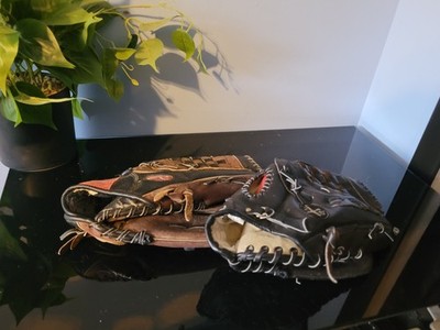 Rawlings Playmaker Series Baseball PM120 12-inch And A 2XS DH-13 12.5 Inch Glove