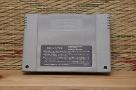 Fighters History Mizoguchi Kiki Ippatsu Super Famicom SFC Nintendo Japan VG+!