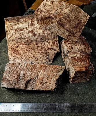 4 Premium Spalted Maple Burl Blocks 8-9'' x 3-9.5'' x 4-4.5'' Carving Turning...