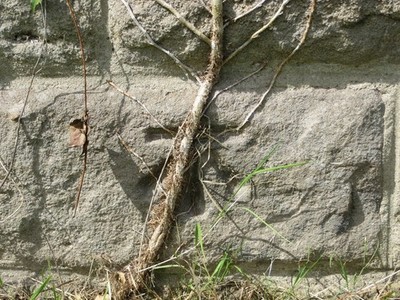 Foto 6x4 Ordnance Survey Schnittmarke Burnt Yates Diese Marke finden Sie auf c2017