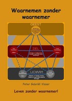 Peter GabriëL Visser | Waarnemen Zonder Waarnemer | Taschenbuch | NiederläNdisch