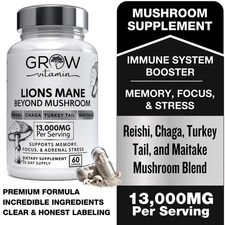 13,000mg Organic Lions Mane Mushroom Nootropic Brain Memory Focus Immune Support