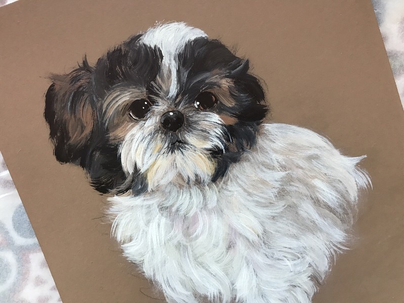 Shih Tzu Puppy Original Painting