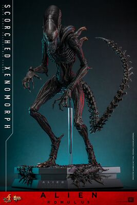 No shipper! New Hot Toys MMS784 1/6 Alien: Romulus Scorched