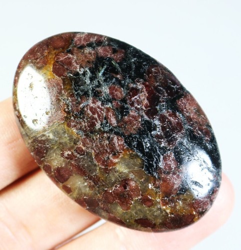Natürliche Politur roter Granat Quarz Kristall Stein Palme Heilung Mineral Probe