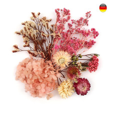 Trockenblumen Deko Basteln Natur Getrocknete Blumen Karten Epoxidharz Fotor