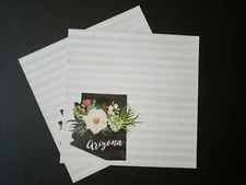 New (2) Scrapbook Customs Arizona Watercolor 12x12 Papers Desert Succulent AZ