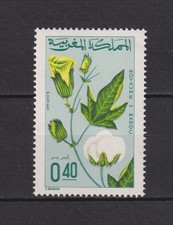 MAROC .  N °  531  .  40 c   AGRICULTURE      NEUF   *    .  SUPERBE .