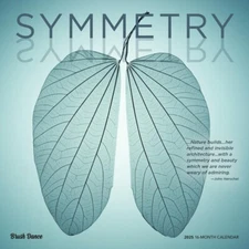 Symmetry | 2025 12x24" Monthly Square Wall Calendar | Plastic-Free