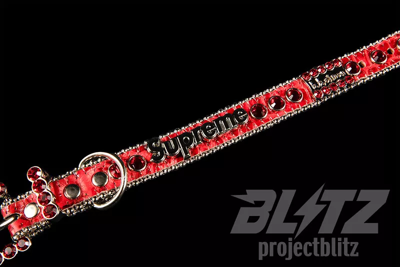 SUPREME X B.B. SIMON STUDDED DOG COLLAR RED SS22 | eBay