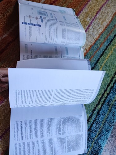 CORSO DI ECONOMIA ED ESTIMO 2 + PRONTUARIO - AMICABILE STEFANO - HOEPLI - Foto 2 di 3