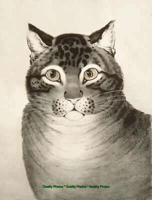 The Favorite Cat 8.5x11'' Photo Print Nathaniel Currier Stunning Feline Fine Art