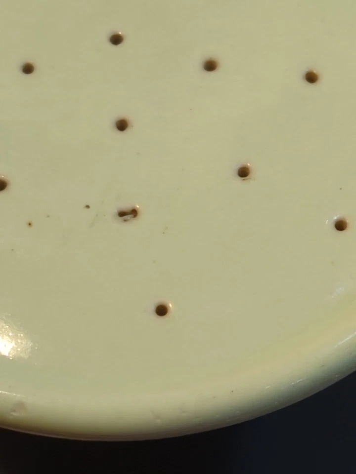 Cabezal de ducha de porcelana vintage, verde menta, accesorio de 1"  Foto 4 de 4