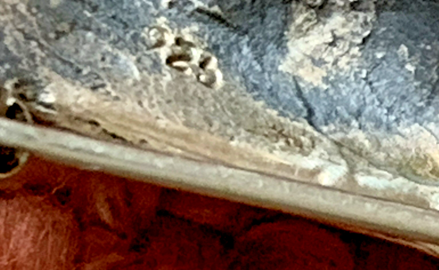 Picture 5 of 5