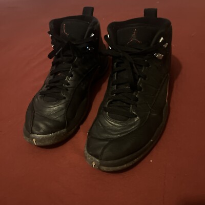 Size 11 - Air Jordan 12 Utility Grind