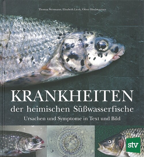 Weismann: Krankheiten der heimischen Süßwasserfische Ursachen/Symptome Handbuch