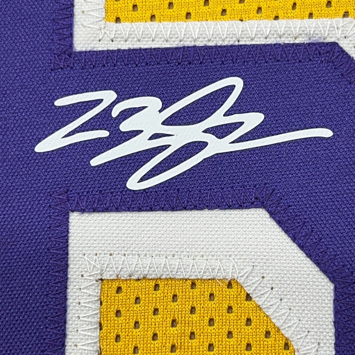 Framed Facsimile Autographed LeBron James 33x42 Yellow