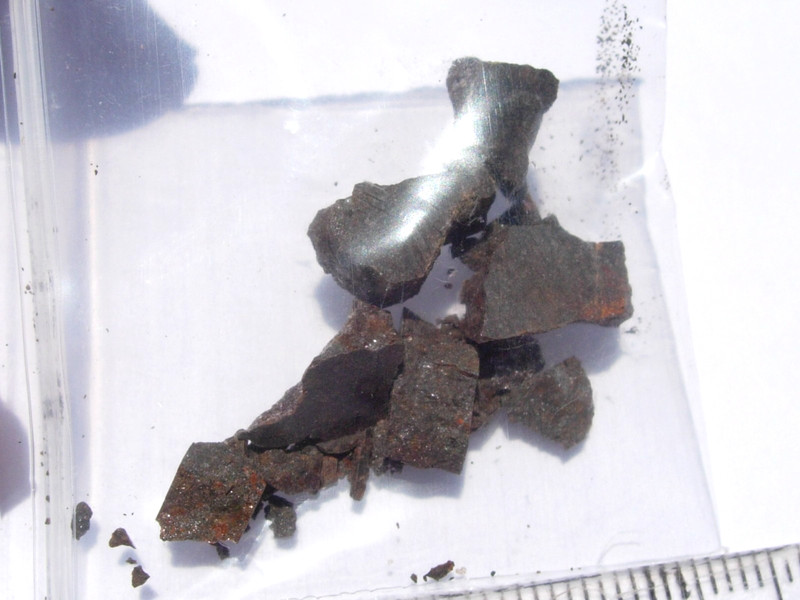 2.48 grams NWA 7902 Meteorite Ordinary chondrite (L3.7) fragments with a COA