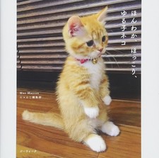 Caldo e sfocato, accogliente e coccoloso, rilassato gattino gatti collezione ...