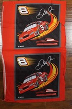 Dale Earnhardt Jr. 8 Nascar Cotton Fabric 35.5"X23" pillow top