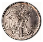 1993 1 oz Silver American Eagle - Violet Galaxy Toning - BU - SKU-E2915