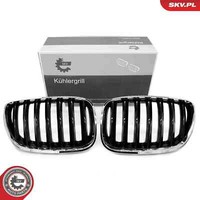 Esen SKV KüHlergrill KüHlergitter Chrom Schwarz FüR BMW X5 E53