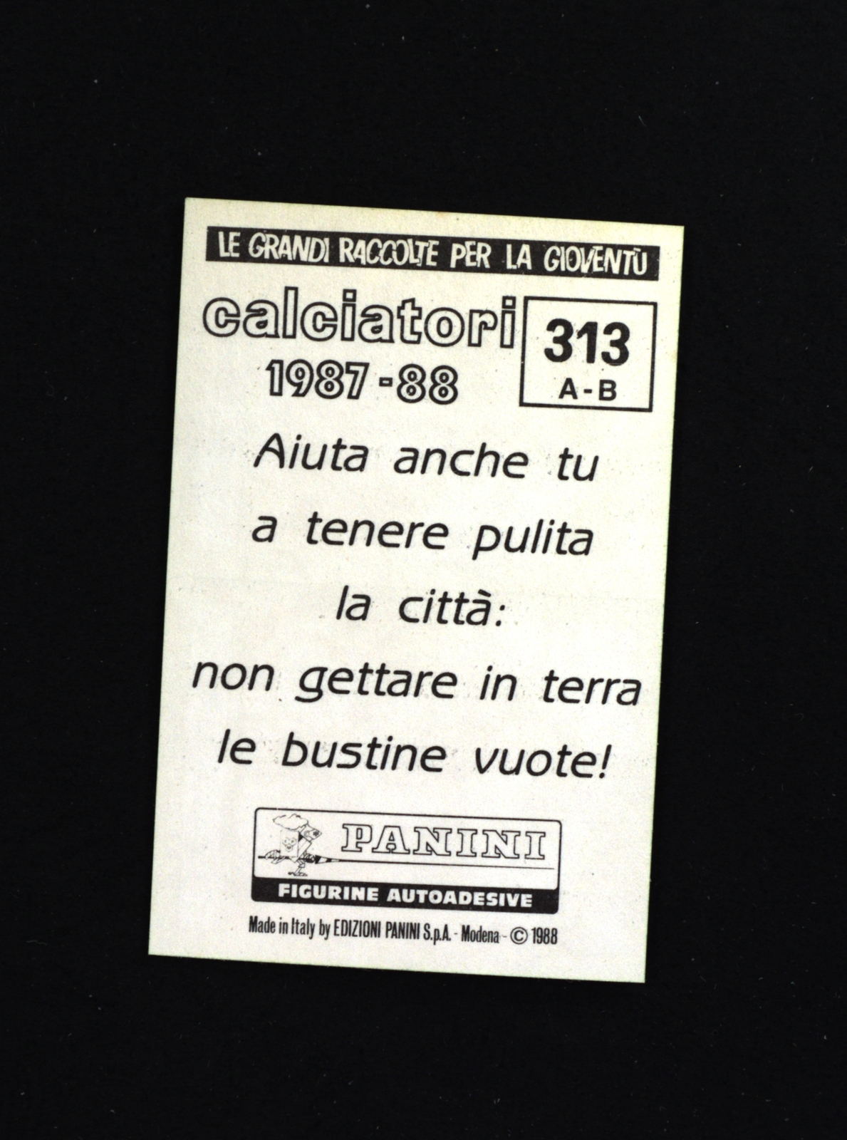 Foto 2 di 2