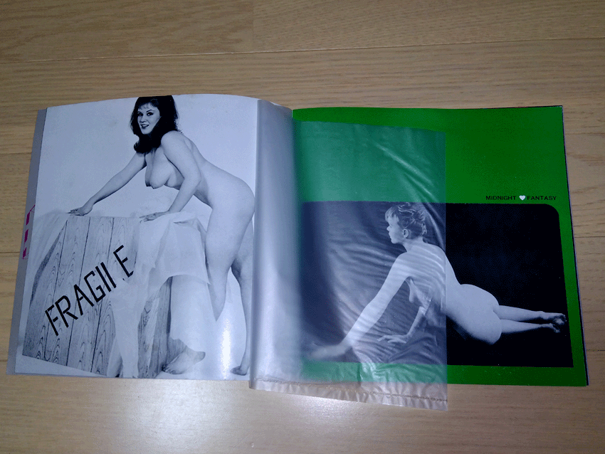 Picture 6 of 6
