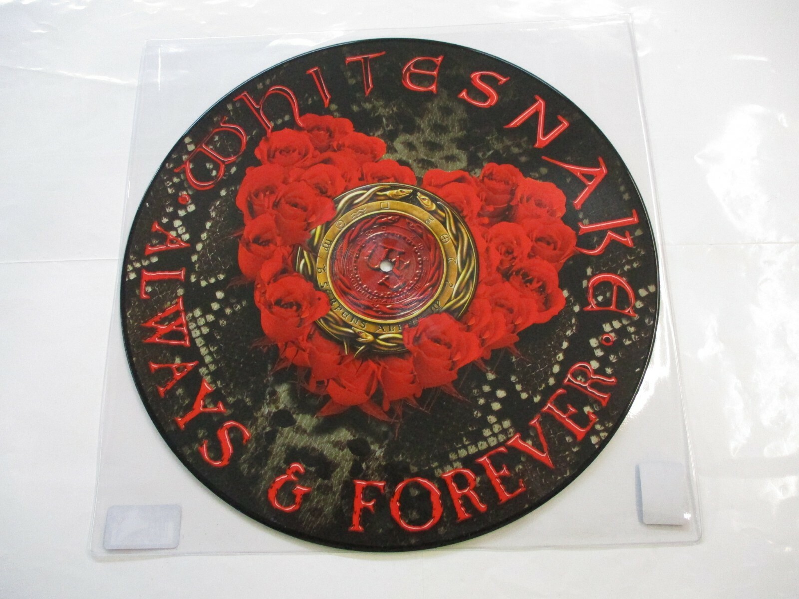 WHITESNAKE - ALWAYS & FOREVER - 12" PICTURE DISC VINYL NEW UNPLAYED 2020